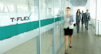 t flex 俄羅斯軟件產(chǎn)品開發(fā)公司