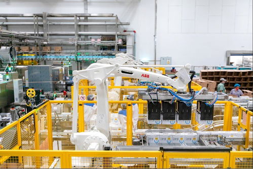 認養(yǎng)一頭牛 以扎實養(yǎng)牛為起點,加速跑出數(shù)字化發(fā)展與責任擔當